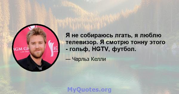 Я не собираюсь лгать, я люблю телевизор. Я смотрю тонну этого - гольф, HGTV, футбол.