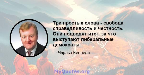 Три простых слова - свобода, справедливость и честность. Они подводят итог, за что выступают либеральные демократы.