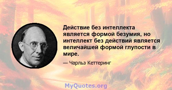 Действие без интеллекта является формой безумия, но интеллект без действий является величайшей формой глупости в мире.