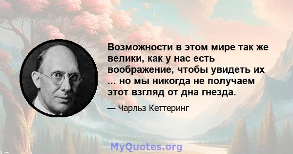 Возможности в этом мире так же велики, как у нас есть воображение, чтобы увидеть их ... но мы никогда не получаем этот взгляд от дна гнезда.