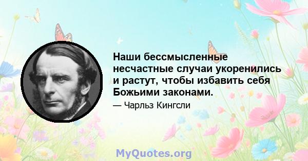 Наши бессмысленные несчастные случаи укоренились и растут, чтобы избавить себя Божьими законами.