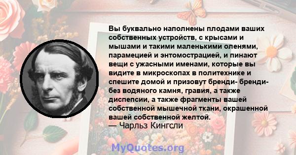 Вы буквально наполнены плодами ваших собственных устройств, с крысами и мышами и такими маленькими оленями, парамецией и энтомострацией, и пинают вещи с ужасными именами, которые вы видите в микроскопах в политехнике и