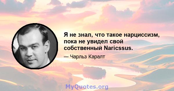 Я не знал, что такое нарциссизм, пока не увидел свой собственный Naricssus.