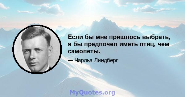 Если бы мне пришлось выбрать, я бы предпочел иметь птиц, чем самолеты.