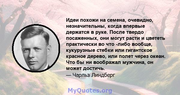 Идеи похожи на семена, очевидно, незначительны, когда впервые держатся в руке. После твердо посаженных, они могут расти и цвететь практически во что -либо вообще, кукурузные стебки или гигантское красное дерево, или