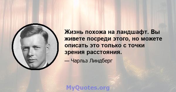 Жизнь похожа на ландшафт. Вы живете посреди этого, но можете описать это только с точки зрения расстояния.