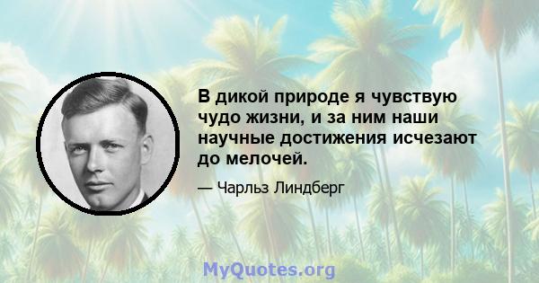 В дикой природе я чувствую чудо жизни, и за ним наши научные достижения исчезают до мелочей.