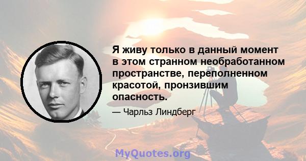 Я живу только в данный момент в этом странном необработанном пространстве, переполненном красотой, пронзившим опасность.