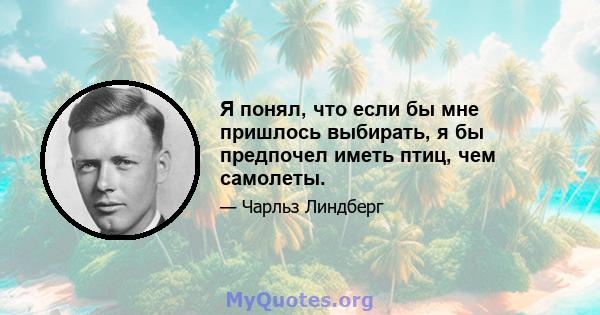 Я понял, что если бы мне пришлось выбирать, я бы предпочел иметь птиц, чем самолеты.