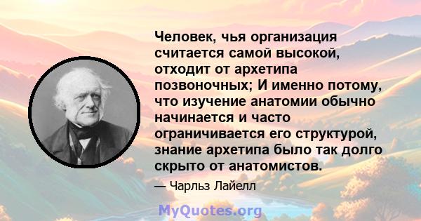 Человек, чья организация считается самой высокой, отходит от архетипа позвоночных; И именно потому, что изучение анатомии обычно начинается и часто ограничивается его структурой, знание архетипа было так долго скрыто от 