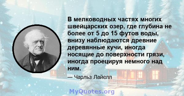 В мелководных частях многих швейцарских озер, где глубина не более от 5 до 15 футов воды, внизу наблюдаются древние деревянные кучи, иногда носящие до поверхности грязи, иногда проецируя немного над ним.