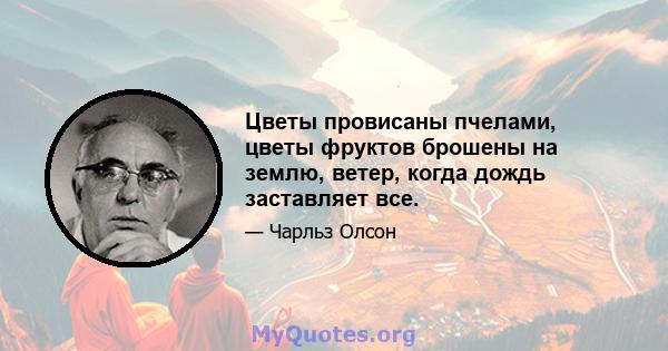 Цветы провисаны пчелами, цветы фруктов брошены на землю, ветер, когда дождь заставляет все.