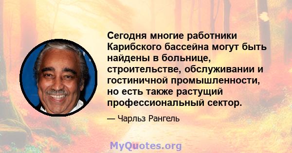 Сегодня многие работники Карибского бассейна могут быть найдены в больнице, строительстве, обслуживании и гостиничной промышленности, но есть также растущий профессиональный сектор.