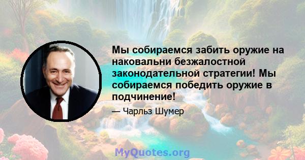 Мы собираемся забить оружие на наковальни безжалостной законодательной стратегии! Мы собираемся победить оружие в подчинение!