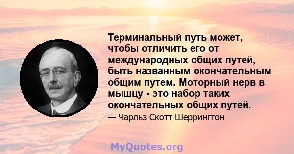 Терминальный путь может, чтобы отличить его от международных общих путей, быть названным окончательным общим путем. Моторный нерв в мышцу - это набор таких окончательных общих путей.