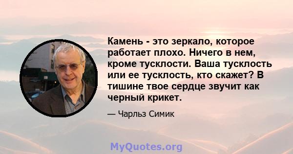 Камень - это зеркало, которое работает плохо. Ничего в нем, кроме тусклости. Ваша тусклость или ее тусклость, кто скажет? В тишине твое сердце звучит как черный крикет.