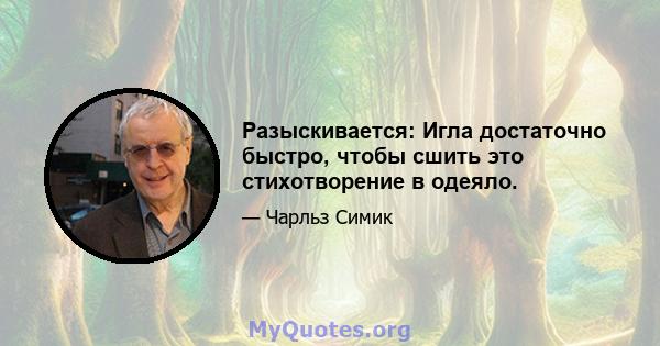 Разыскивается: Игла достаточно быстро, чтобы сшить это стихотворение в одеяло.