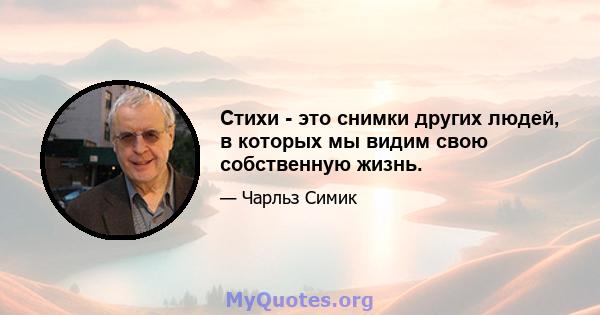 Стихи - это снимки других людей, в которых мы видим свою собственную жизнь.