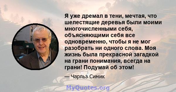 Я уже дремал в тени, мечтая, что шелестящие деревья были моими многочисленными себя, объясняющими себя все одновременно, чтобы я не мог разобрать ни одного слова. Моя жизнь была прекрасной загадкой на грани понимания,