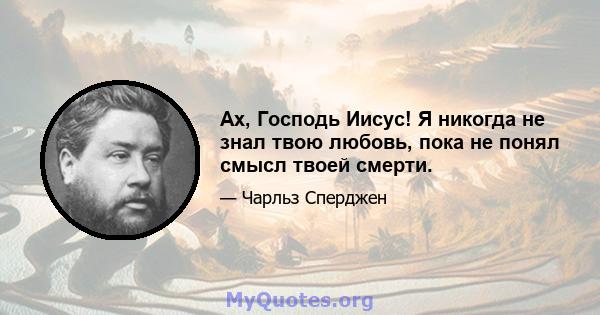 Ах, Господь Иисус! Я никогда не знал твою любовь, пока не понял смысл твоей смерти.