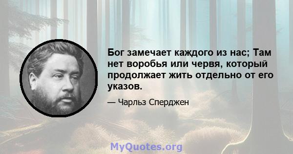 Бог замечает каждого из нас; Там нет воробья или червя, который продолжает жить отдельно от его указов.