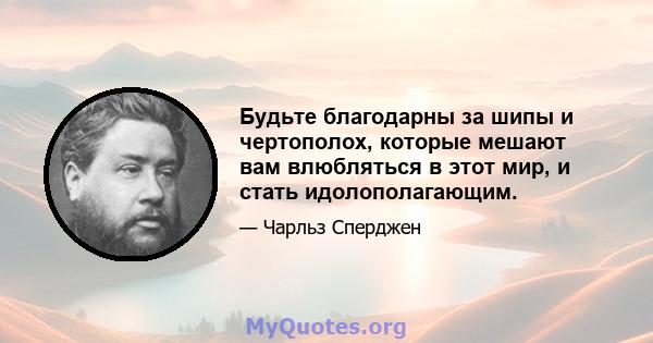 Будьте благодарны за шипы и чертополох, которые мешают вам влюбляться в этот мир, и стать идолополагающим.