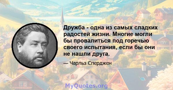 Дружба - одна из самых сладких радостей жизни. Многие могли бы провалиться под горечью своего испытания, если бы они не нашли друга.