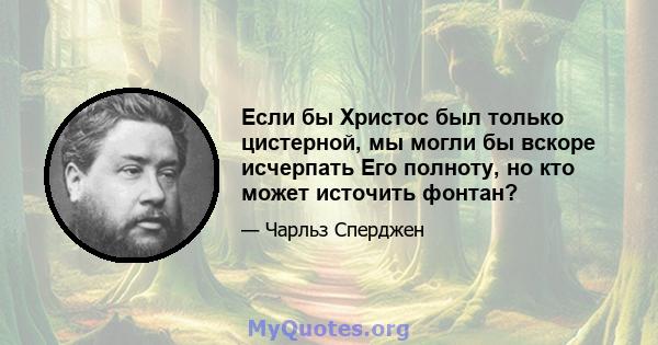 Если бы Христос был только цистерной, мы могли бы вскоре исчерпать Его полноту, но кто может источить фонтан?