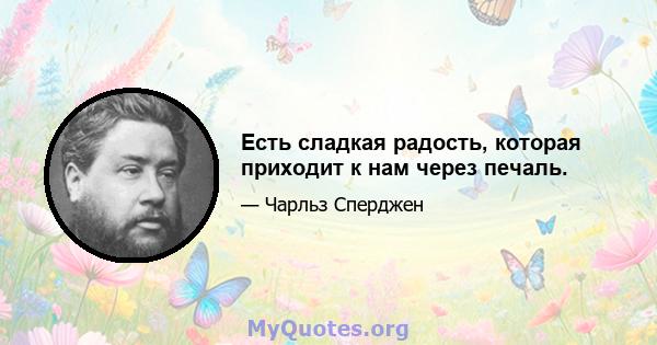 Есть сладкая радость, которая приходит к нам через печаль.