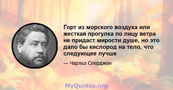 Горт из морского воздуха или жесткая прогулка по лицу ветра не придаст мирости душе, но это дало бы кислород на тело, что следующее лучше