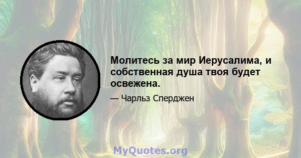 Молитесь за мир Иерусалима, и собственная душа твоя будет освежена.