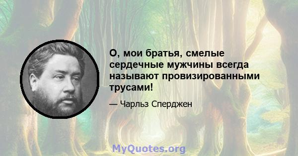 О, мои братья, смелые сердечные мужчины всегда называют провизированными трусами!