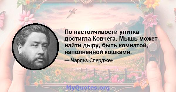 По настойчивости улитка достигла Ковчега. Мышь может найти дыру, быть комнатой, наполненной кошками.