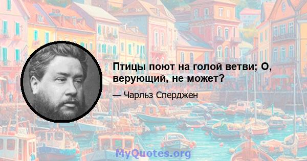 Птицы поют на голой ветви; О, верующий, не может?