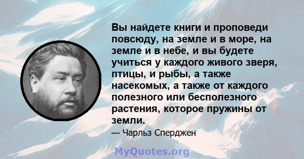 Вы найдете книги и проповеди повсюду, на земле и в море, на земле и в небе, и вы будете учиться у каждого живого зверя, птицы, и рыбы, а также насекомых, а также от каждого полезного или бесполезного растения, которое