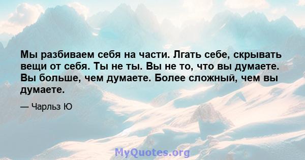 Мы разбиваем себя на части. Лгать себе, скрывать вещи от себя. Ты не ты. Вы не то, что вы думаете. Вы больше, чем думаете. Более сложный, чем вы думаете.