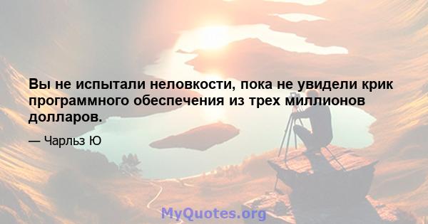 Вы не испытали неловкости, пока не увидели крик программного обеспечения из трех миллионов долларов.