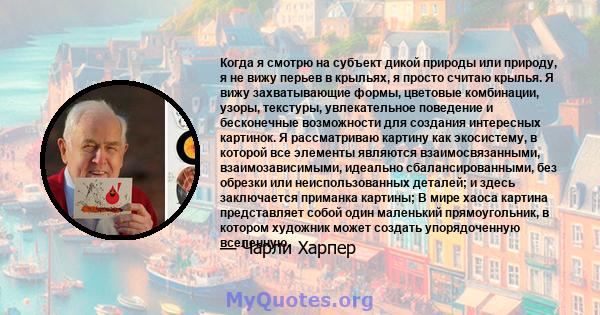 Когда я смотрю на субъект дикой природы или природу, я не вижу перьев в крыльях, я просто считаю крылья. Я вижу захватывающие формы, цветовые комбинации, узоры, текстуры, увлекательное поведение и бесконечные