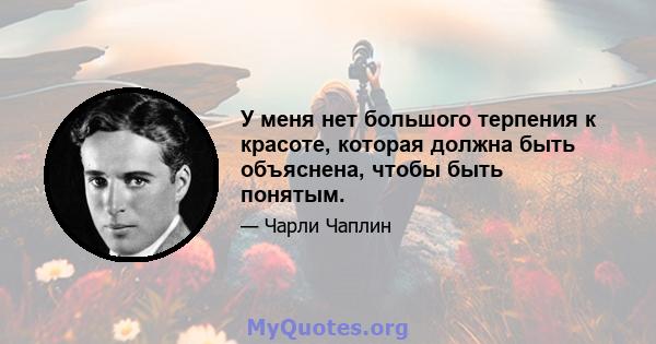 У меня нет большого терпения к красоте, которая должна быть объяснена, чтобы быть понятым.