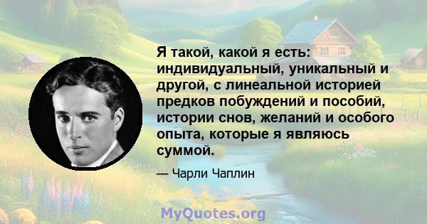 Я такой, какой я есть: индивидуальный, уникальный и другой, с линеальной историей предков побуждений и пособий, истории снов, желаний и особого опыта, которые я являюсь суммой.