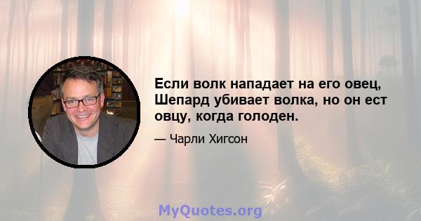 Если волк нападает на его овец, Шепард убивает волка, но он ест овцу, когда голоден.