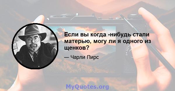 Если вы когда -нибудь стали матерью, могу ли я одного из щенков?