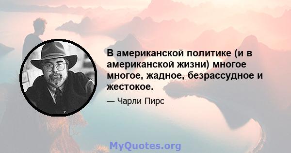 В американской политике (и в американской жизни) многое многое, жадное, безрассудное и жестокое.