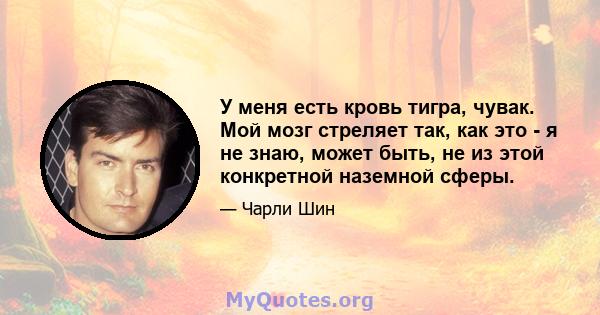 У меня есть кровь тигра, чувак. Мой мозг стреляет так, как это - я не знаю, может быть, не из этой конкретной наземной сферы.