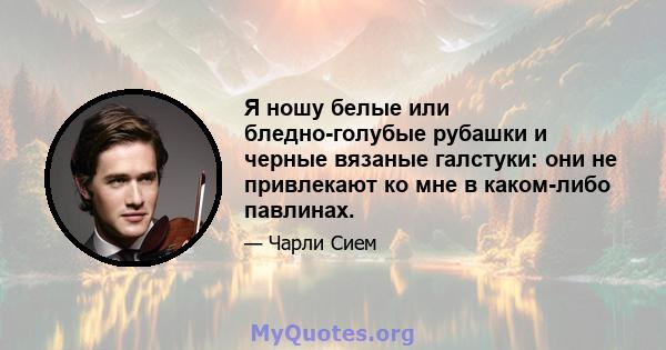 Я ношу белые или бледно-голубые рубашки и черные вязаные галстуки: они не привлекают ко мне в каком-либо павлинах.