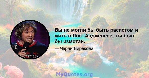 Вы не могли бы быть расистом и жить в Лос -Анджелесе; ты был бы измотан.