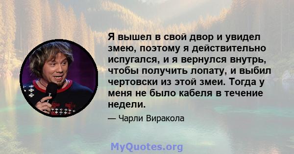 Я вышел в свой двор и увидел змею, поэтому я действительно испугался, и я вернулся внутрь, чтобы получить лопату, и выбил чертовски из этой змеи. Тогда у меня не было кабеля в течение недели.