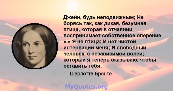 Джейн, будь неподвижным; Не борясь так, как дикая, безумная птица, которая в отчаянии воспринимает собственное оперение ».« Я не птица; И нет чистой интервации меня; Я свободный человек, с независимой волей; который я