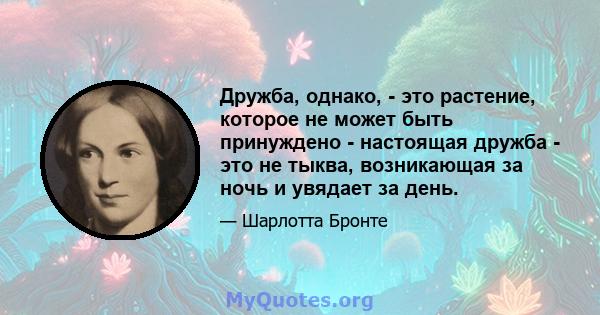 Дружба, однако, - это растение, которое не может быть принуждено - настоящая дружба - это не тыква, возникающая за ночь и увядает за день.