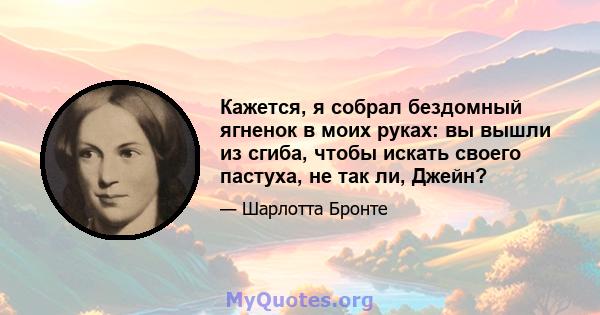 Кажется, я собрал бездомный ягненок в моих руках: вы вышли из сгиба, чтобы искать своего пастуха, не так ли, Джейн?